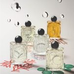 عطر ادکلن رُز روچ دیپتیک - Rose Roche Diptyque - بررسی، قیمت و خرید