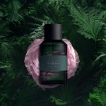 عطر ادکلن رُز شیسو ماری ژان - ローズ シソ Marie Jeanne - بررسی، قیمت و خرید