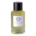 عطر ادکلن پرسویس او دو پارفوم لمنوفکچر - Précieuse Eau de Parfum La Manufacture - بررسی، قیمت و خرید