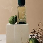 عطر ادکلن دکوریتد وودز آرکیو - Decorated Woods Arkive - بررسی، قیمت و خرید