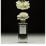 عطر ادکلن 00۱ وومن درو لووه - 001 Woman x Lladró Loewe - بررسی، قیمت و خرید