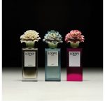عطر ادکلن 00۱ وومن درو لووه - 001 Woman x Lladró Loewe - بررسی، قیمت و خرید