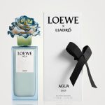 عطر ادکلن آگوا دراپ اِکس لادرو لووه - Agua Drop x Lladró Loewe - بررسی، قیمت و خرید