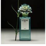 عطر ادکلن آگوا دراپ اِکس لادرو لووه - Agua Drop x Lladró Loewe - بررسی، قیمت و خرید