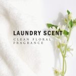 عطر ادکلن لاندری سنت لو - Laundry Scent LOE - بررسی، قیمت و خرید
