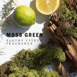عطر ادکلن ماس گرین لو - Moss Green LOE - بررسی، قیمت و خرید