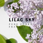 عطر ادکلن لایلاک اسکای لو - Lilac Sky LOE - بررسی، قیمت و خرید