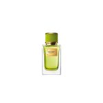 عطر ادکلن ولوت موگتو دولچه گابانا - Velvet Mughetto Dolce&Gabbana - بررسی، قیمت و خرید