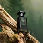 عطر ادکلن جانگل وتیور فاینِری - Jungle Vetiver Fine'ry. - بررسی، قیمت و خرید