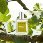عطر ادکلن وایت فیگ اند کشمیر آکاکاپا - White Fig & Cashmere Acca Kappa - بررسی، قیمت و خرید
