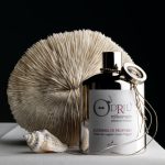 عطر ادکلن لوندای هزار و شش اودریو - Londa 1006 O'Driu - بررسی، قیمت و خرید