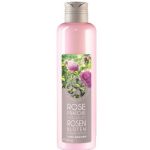 عطر ادکلن رز فرش ایو روشه - Rose Fraiche Yves Rocher - بررسی، قیمت و خرید
