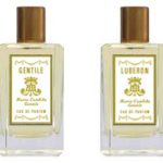 عطر ادکلن جنتایل ماریا کندیدا جنتیله - Gentile Maria Candida Gentile - بررسی، قیمت و خرید