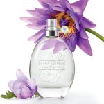 عطر ادکلن اسنت اسنس - بلومینگ لوتوس اِیوِن - Scent Essence - Blooming Lotus Avon - بررسی، قیمت و خرید