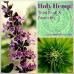 عطر ادکلن هولی همپ ایثر آرتس پرفیوم - Holy Hemp Aether Arts Perfume - بررسی، قیمت و خرید