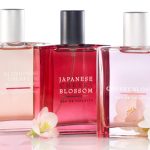عطر ادکلن چری بلوسم بث اند بادی ورکز - Cherry Blossom Bath & Body Works - بررسی، قیمت و خرید
