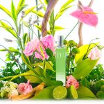 عطر ادکلن بی ورده بی کولونیاس - Be. Verde Be. Colonias - بررسی، قیمت و خرید