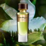 عطر ادکلن کانویویو سالواتوره فراگامو - Convivio Salvatore Ferragamo - بررسی، قیمت و خرید