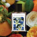 عطر ادکلن اورنج بلاسم د سون ورچوز - Orange Blossom The 7 Virtues - بررسی، قیمت و خرید