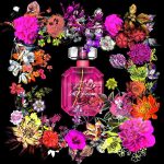 عطر ادکلن بامب شل وایلد فلاور 维多利亚 سیکرت - Bombshell Wild Flower Victoria's Secret - بررسی، قیمت و خرید