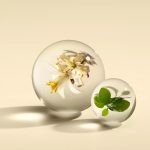 عطر ادکلن اورنج اند برگاموت او دو پارفوم مولتون براون - Orange & Bergamot Eau de Parfum Molton Brown - بررسی، قیمت و خرید