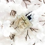عطر ادکلن اینتو د وایت د دیفرنت کمپانی - Into The White The Different Company - بررسی، قیمت و خرید
