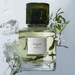 عطر ادکلن مِدی ترودون - Médie Trudon - بررسی، قیمت و خرید