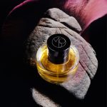 عطر ادکلن رز کانکریت مونا دی اوریو - Rose Concrete Mona di Orio - بررسی، قیمت و خرید