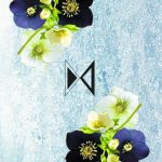 عطر ادکلن هلبروس اسیدیکا پرفیومز - Helleborus Acidica Perfumes - بررسی، قیمت و خرید