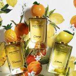 عطر ادکلن لیمون دولچه اند گابانا - Lemon Dolce&Gabbana - بررسی، قیمت و خرید