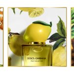عطر ادکلن لیمون دولچه اند گابانا - Lemon Dolce&Gabbana - بررسی، قیمت و خرید