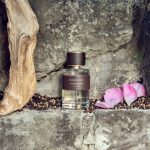 عطر ادکلن سیدر ان پپر بیرکهولتز - Cedar N' Pepper Birkholz - بررسی، قیمت و خرید