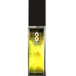 عطر ادکلن سامرتایم سیوردیا پارفومز - Summertime Siordia Parfums - بررسی، قیمت و خرید