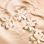 عطر ادکلن رادیانت تیبرُز جیمی چو - Radiant Tuberose Jimmy Choo - بررسی، قیمت و خرید