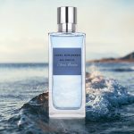 عطر ادکلن او فرش سیترس مارینو انجل اسلسر - Eau Fraîche Citrus Marino Angel Schlesser - بررسی، قیمت و خرید