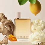 عطر ادکلن بربری هر لندن دریم بربری - Burberry Her London Dream Burberry - بررسی، قیمت و خرید
