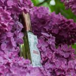 عطر ادکلن اسپرینگ اور د دنیپر چارزیلیا - Spring over the Dnieper / Весна над Дніпром Char-Zillya - بررسی، قیمت و خرید