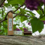 عطر ادکلن اسپرینگ اور د دنیپر چارزیلیا - Spring over the Dnieper / Весна над Дніпром Char-Zillya - بررسی، قیمت و خرید