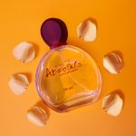 عطر ادکلن ابسولوتا پیر الکساندر - Absoluta Pierre Alexander - بررسی، قیمت و خرید
