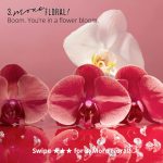 عطر ادکلن مور فلورال! جودیت لیبر - More Floral! Judith Leiber - بررسی، قیمت و خرید