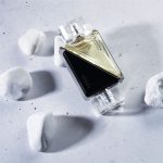 عطر ادکلن سورهوم نویر پارفوم دو نیچه - Surhomme Noir Parfums de Nietzsche - بررسی، قیمت و خرید
