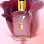 عطر ادکلن برنینگ دیزایر اورلوو پاریس - Burning Desire Orlov Paris - بررسی، قیمت و خرید