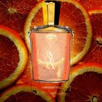 عطر ادکلن ایمپاور یو اورلوو پاریس - Empower You Orlov Paris - بررسی، قیمت و خرید