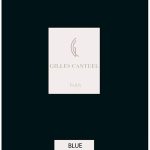 عطر ادکلن ژیلس کانتویل بلو ادو پرفیوم ژیلس کانتول - Gilles Cantuel Blue Eau de Parfum Gilles Cantuel - بررسی، قیمت و خرید