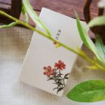 عطر ادکلن هربالیست نانکه‌جی - Herbalist 采药女 南柯记 Nankeji - بررسی، قیمت و خرید