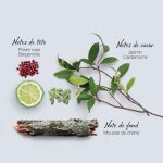 عطر ادکلن ماوبوسین دیسکاوری ماپوسین - Mauboussin Discovery Mauboussin - بررسی، قیمت و خرید