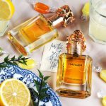 عطر ادکلن هایام سوییس عربین - Hayaam Swiss Arabian - بررسی، قیمت و خرید