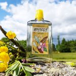 عطر ادکلن لتنی بوکت آلیه پاروسا - Летний букет - Summer bouquet Алые Паруса (Alye Parusa) - بررسی، قیمت و خرید