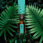 عطر ادکلن امبر شیک نوت - Ambre Chic Nout - بررسی، قیمت و خرید