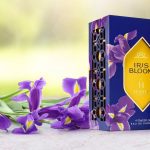 عطر ادکلن آیریس بلوم هبیبی نیویورک - Iris Bloom Habibi NY - بررسی، قیمت و خرید